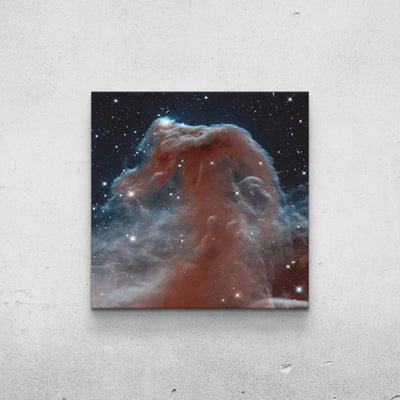 The Horsehead Nebula Print TheSuccessCity