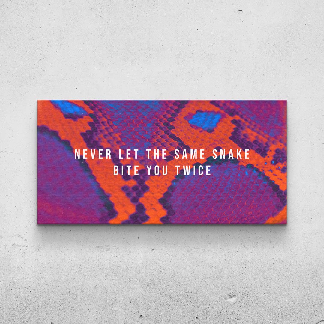 Snake Skin - Same Mistake Print (Abstract) TheSuccessCity