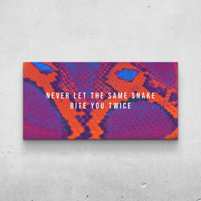 Snake Skin - Same Mistake Print (Abstract) TheSuccessCity